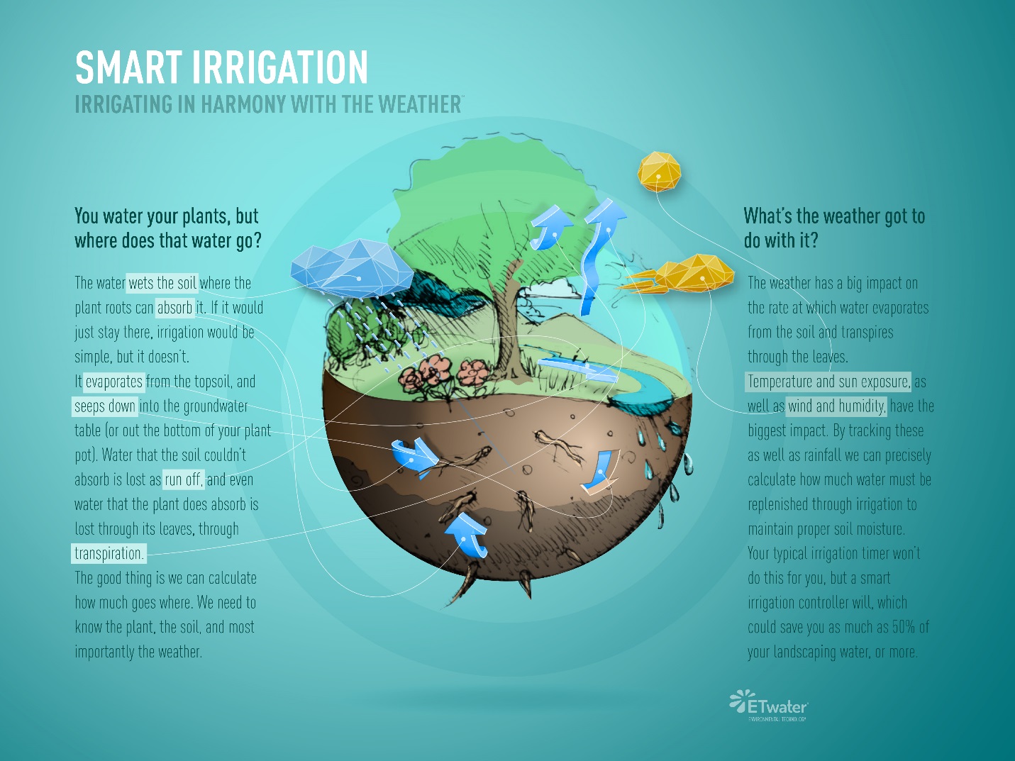 Water is gone. Ирригация инфографика. Sustainability of Water Systems. Need someone to Water your Plants. Absorption of Water from the Soil, Movement in the Plant, consumption and Irrigation.