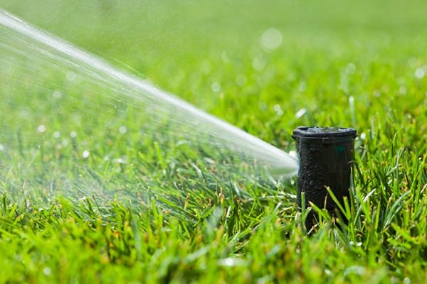 Debunking Myths About Water Sprinkler Times